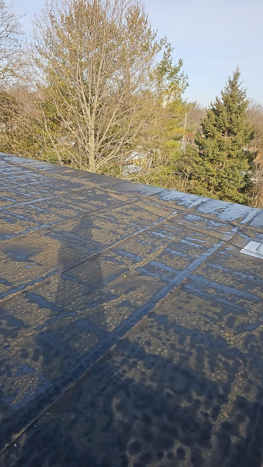 Roofing & Framing